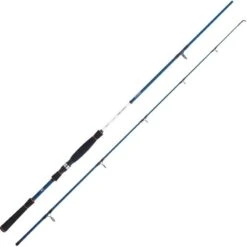 CANNE DAIWA SPIT FIRE SEABASS