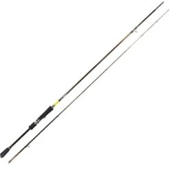 CANNE EGING YAMASHITA