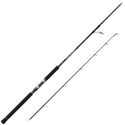 CANNE SPINNING PALMS SEA RAPTURE